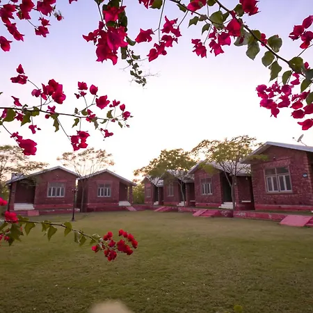 Impian Resorts - Jodhpur-2