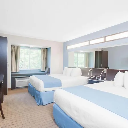 Microtel Inn & Suites Bath-3