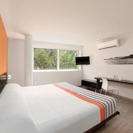 City Express Junior by Marriott Ciudad de México Sullivan-3