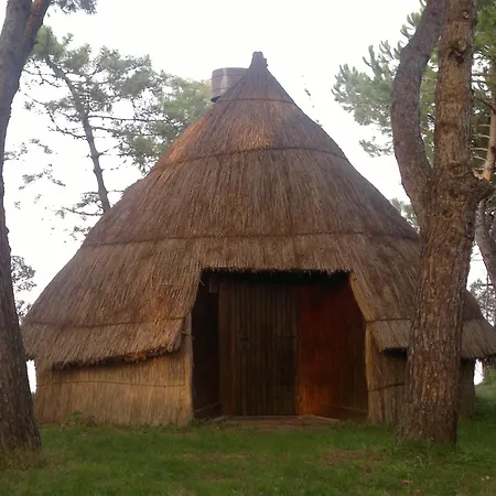 Hotel Erika-2