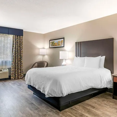 Black Bear Inn, An Ascend Collection Hotel-2