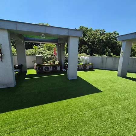 Yolo House-3