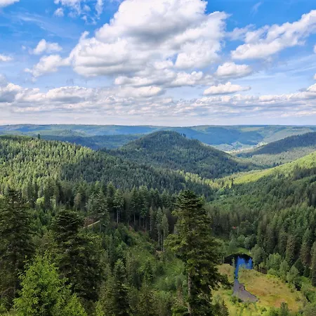 Gasthof Steinwald-3