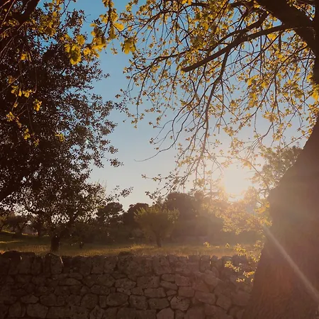 Masseria Fenicia-2