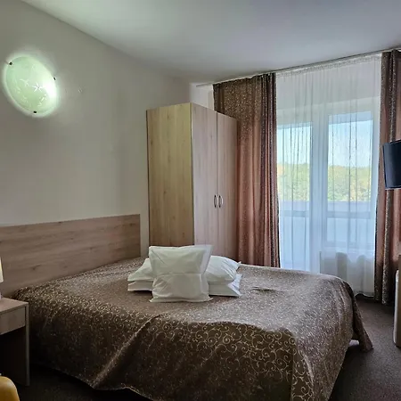Hotel Mures-2