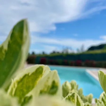 Vigneto - Italian Restaurant&B&B-3
