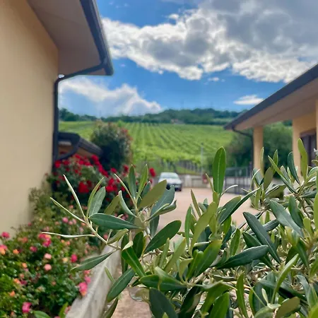 Vigneto - Italian Restaurant&B&B-2