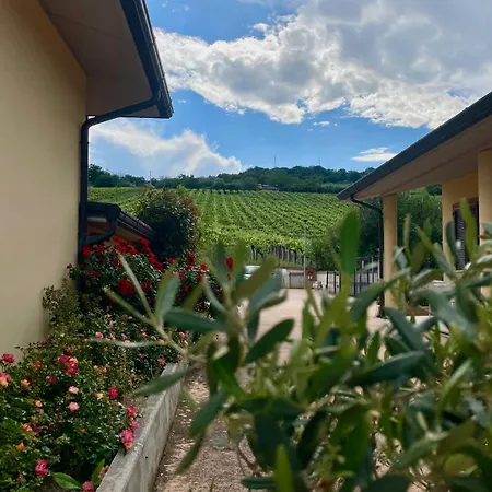 Vigneto - Italian Restaurant&B&B-2