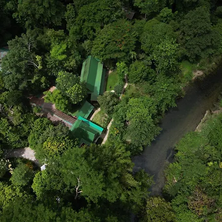 Our Jungle House - SHA Certified-2