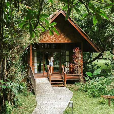 Our Jungle House - SHA Certified-3
