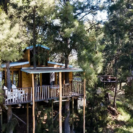 Vindoux Tree House Guest Farm & Spa-2