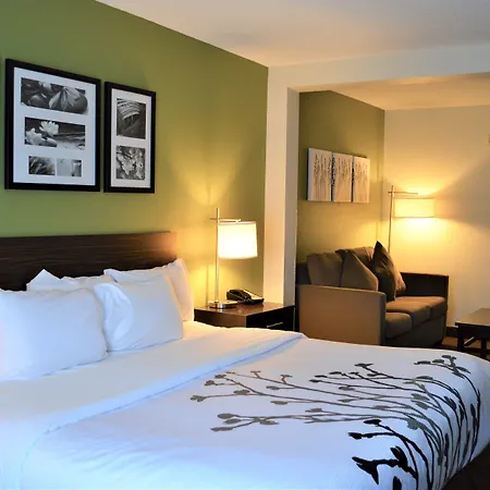 Sleep Inn & Suites Virginia Horse Center-3