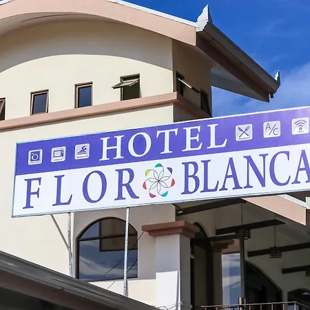 Hotel Flor Blanca-2