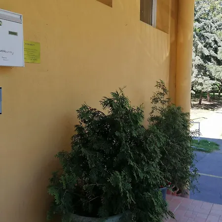 Hotel Arko-2