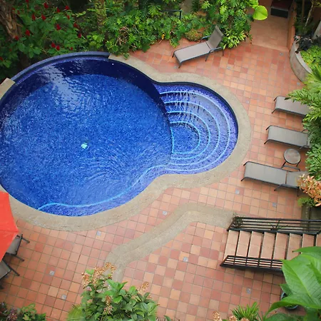 Jungle Vista Boutique Hotel-3