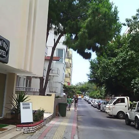 Gray Wolf Otel-2