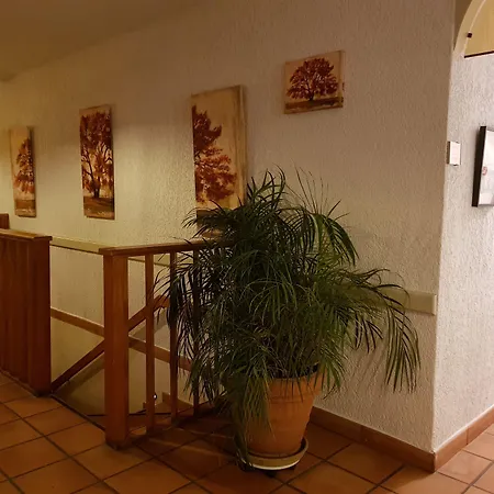 Hotel&Restaurant le Saint Jean-3