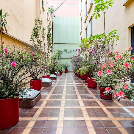 Oyo Hotel Hidalgo-2