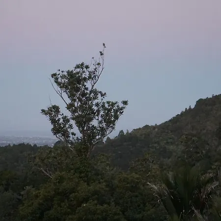 Waitakere Resort & Spa-2