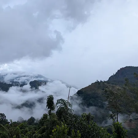 Rock Paradise Homestay-3