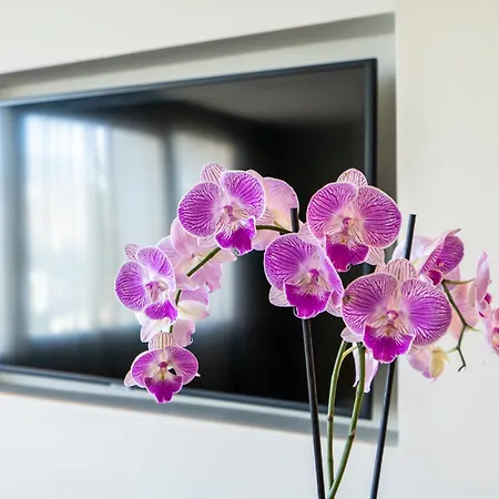 Jm Suites Hotel Eco-Friendly Casablanca-2