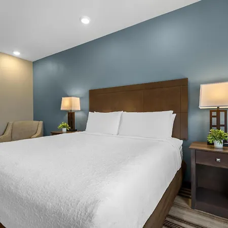 Best Western Plus Overland Inn-2