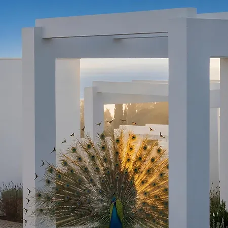 Masana Algarve, Destination By Hyatt-2