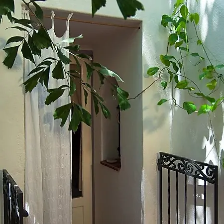 Lez Lezards Bed & Breakfast-2