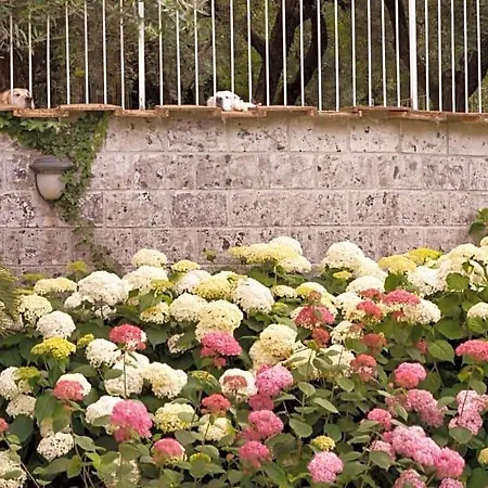 Villa Annabelle-2