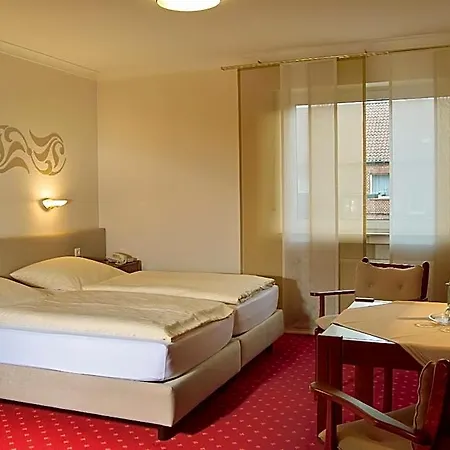 Hotel Restaurant Witte-3