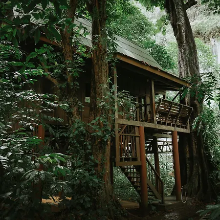 Our Jungle House - SHA Certified-2