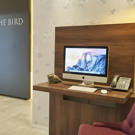 Hotel The Bird-3