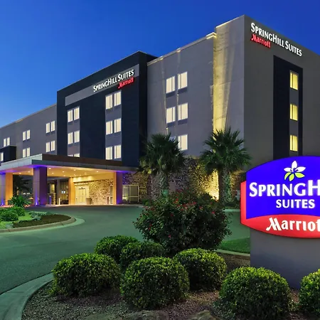 Springhill Suites By Marriott Midland Odessa-2