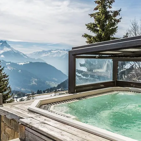 Hotel Le Grand Chalet-3