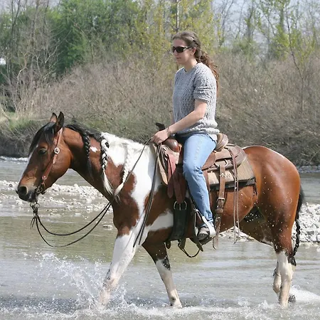 Cowboys Guest Ranch-2