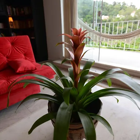 Rio Boutique Suites-2