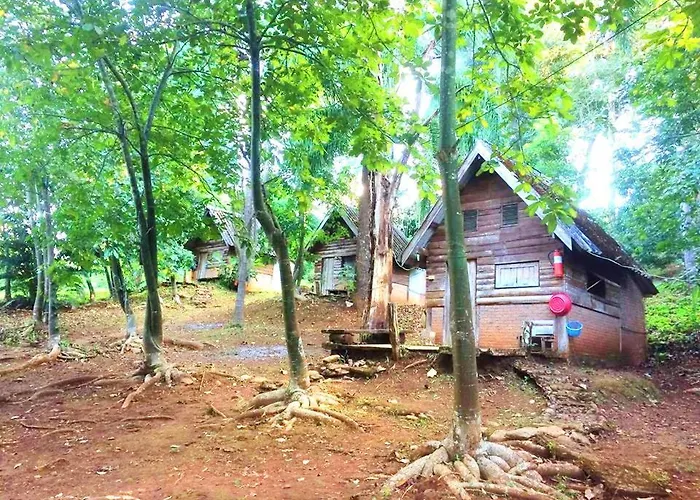 Jungle Guest House