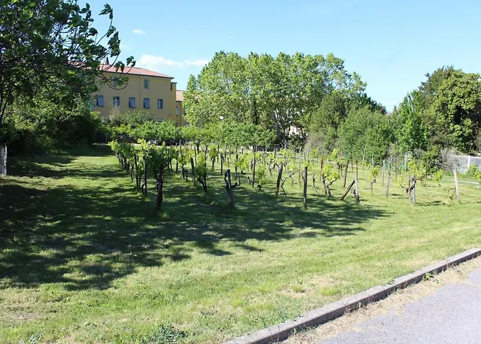 Hotel Des Oliviers