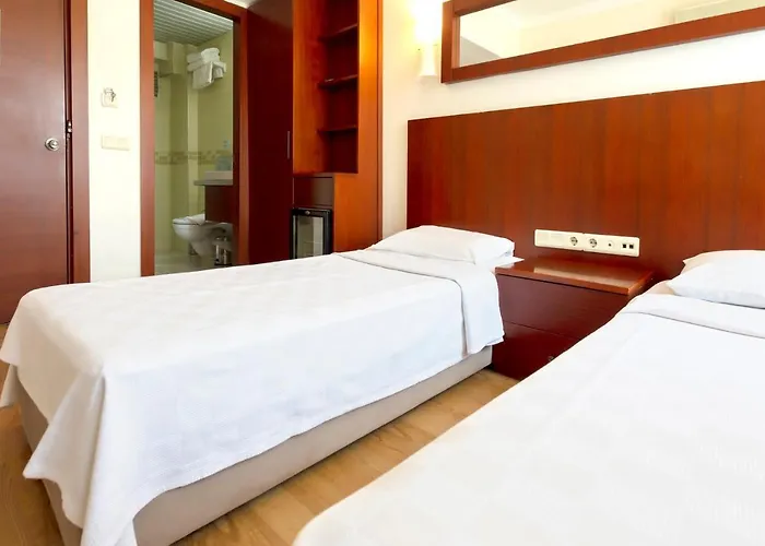 Hotel Pelit