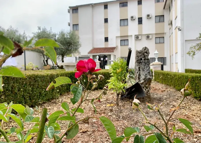 Hotel Mateus