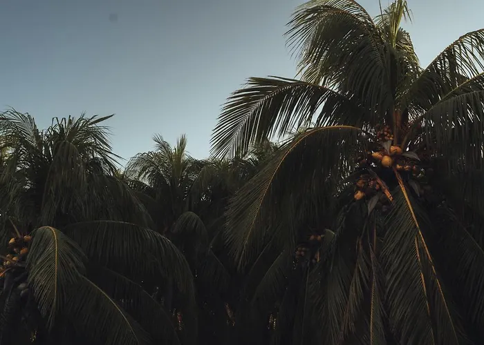 Casa Peregrino Holbox