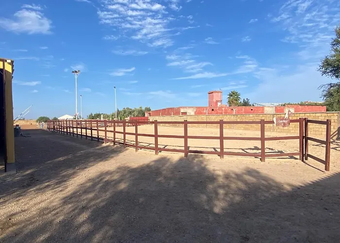 Equi Palace&SPA Near Aeroport