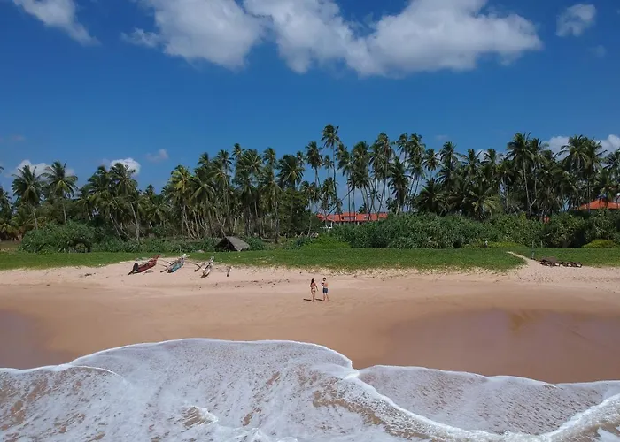 Green Parrot Beach Resort