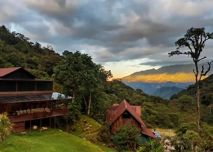 Tree Trek Boquete Adventure Park