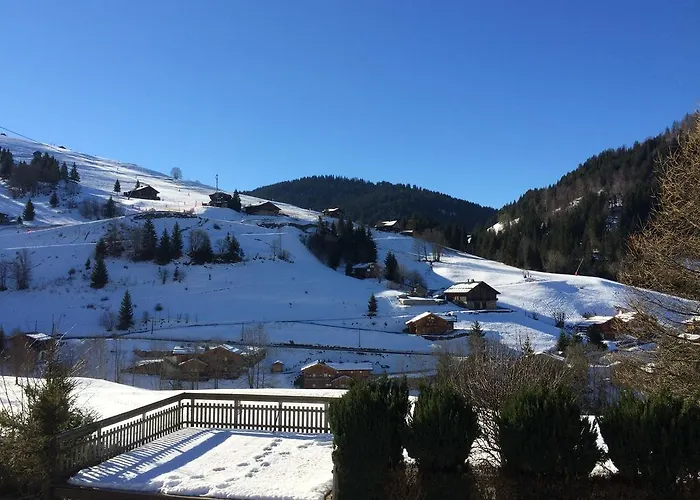 Chalet-Hotel Du Borderan