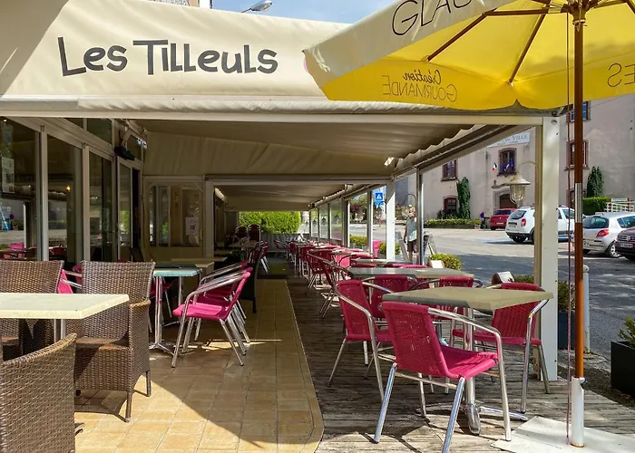 Hôtel Les Tilleuls de Pareloup à Salles-Curan