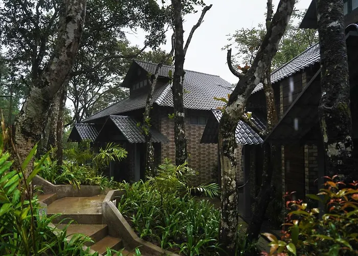 Elephant Passage