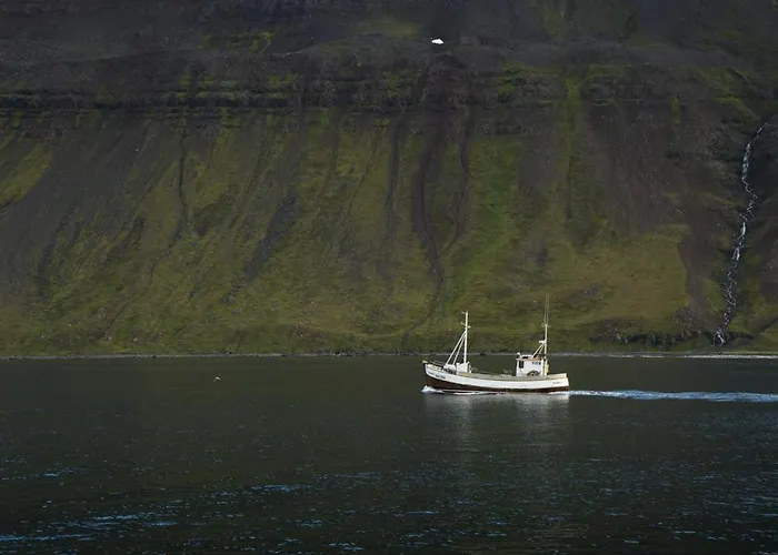 Fisherman Guesthouse Sudureyri
