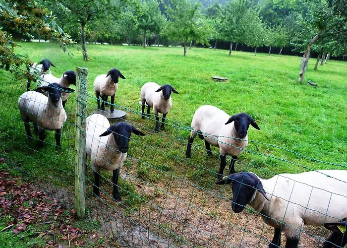Ferme Des Chartroux