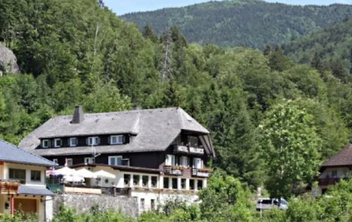 Hotel Waldeck In Todtnau
